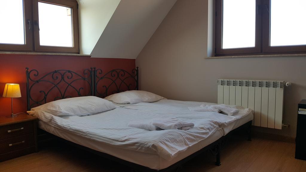 Dzika Roza * Sandomierz