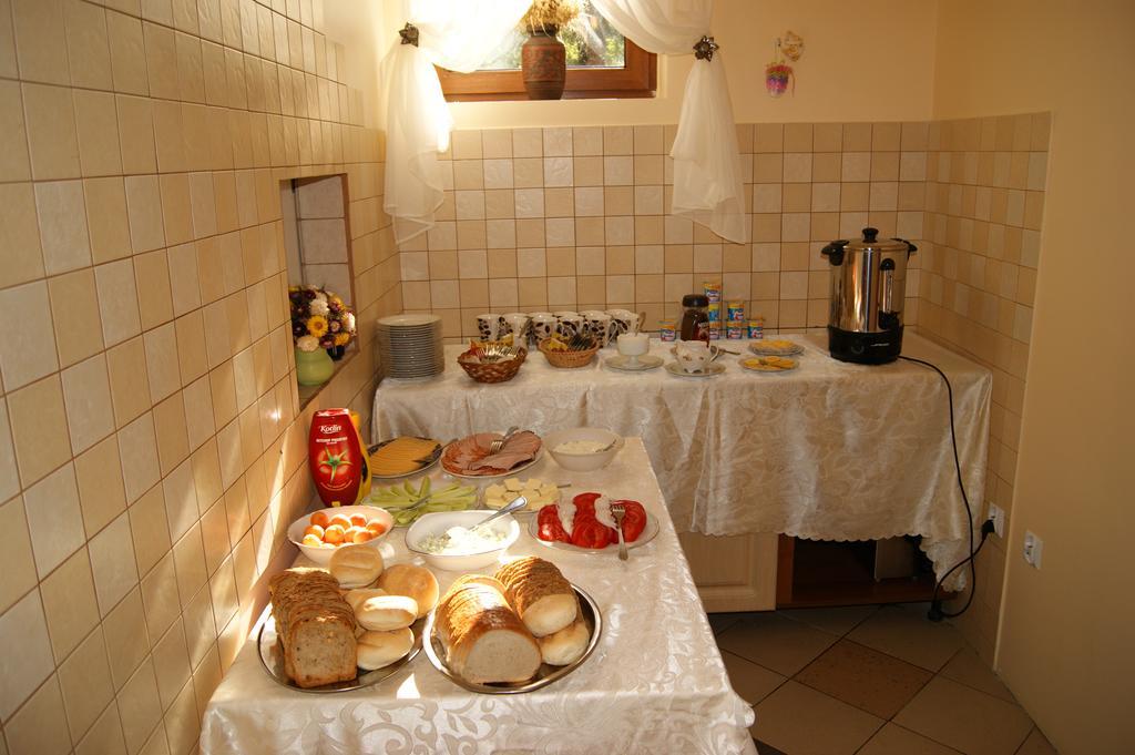 Dzika Roza Sandomierz